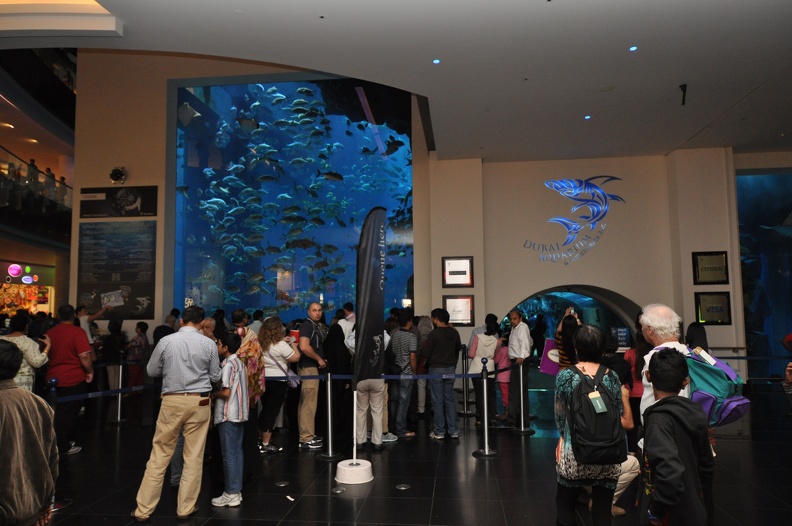 Aquarium Entrance.JPG